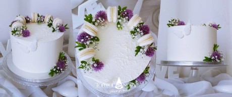 00a3957a3924a4029a00