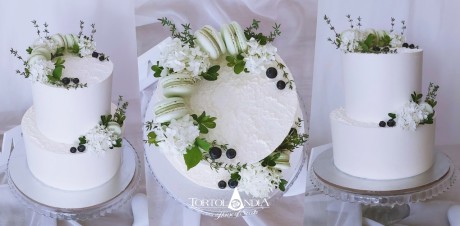 00a1217a1046a1213a00