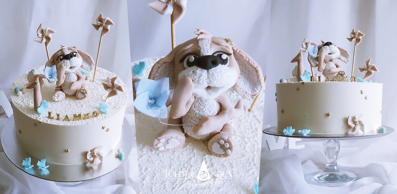 00a1047a1112a1011a00