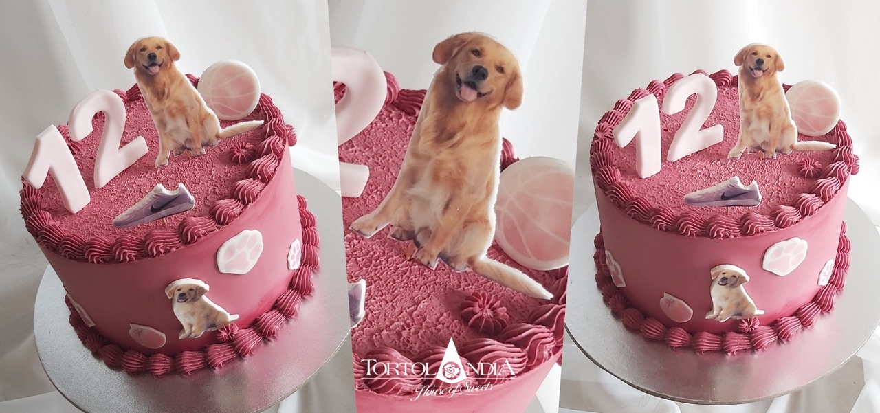 00a3719a3719a3335a00a000