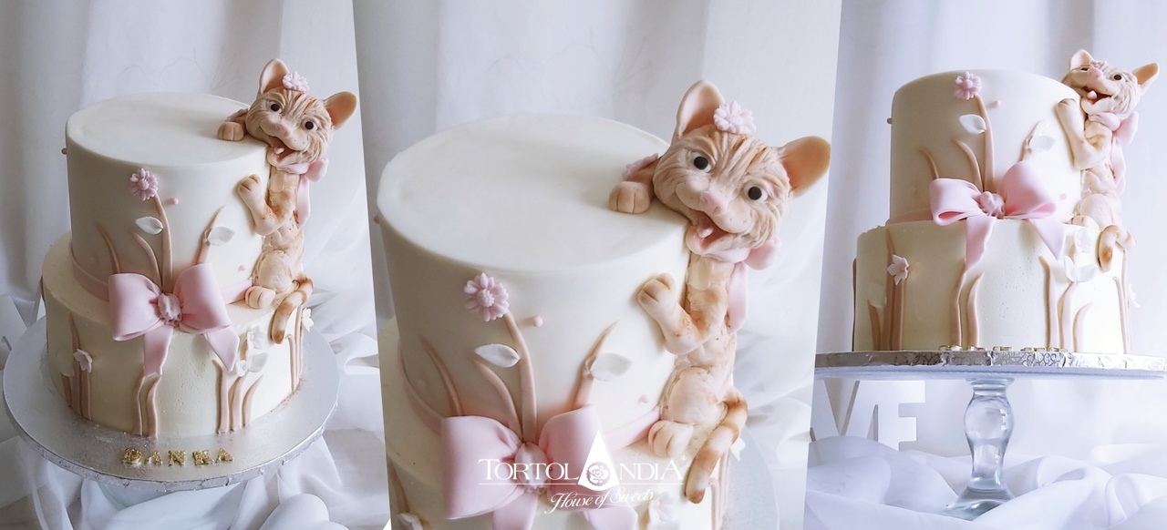 00a3257a3225a3027a00