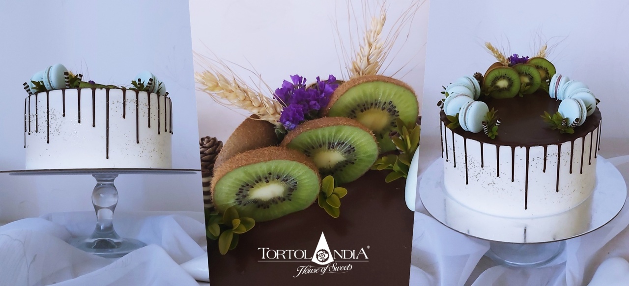 00a1051a1214a1105a00