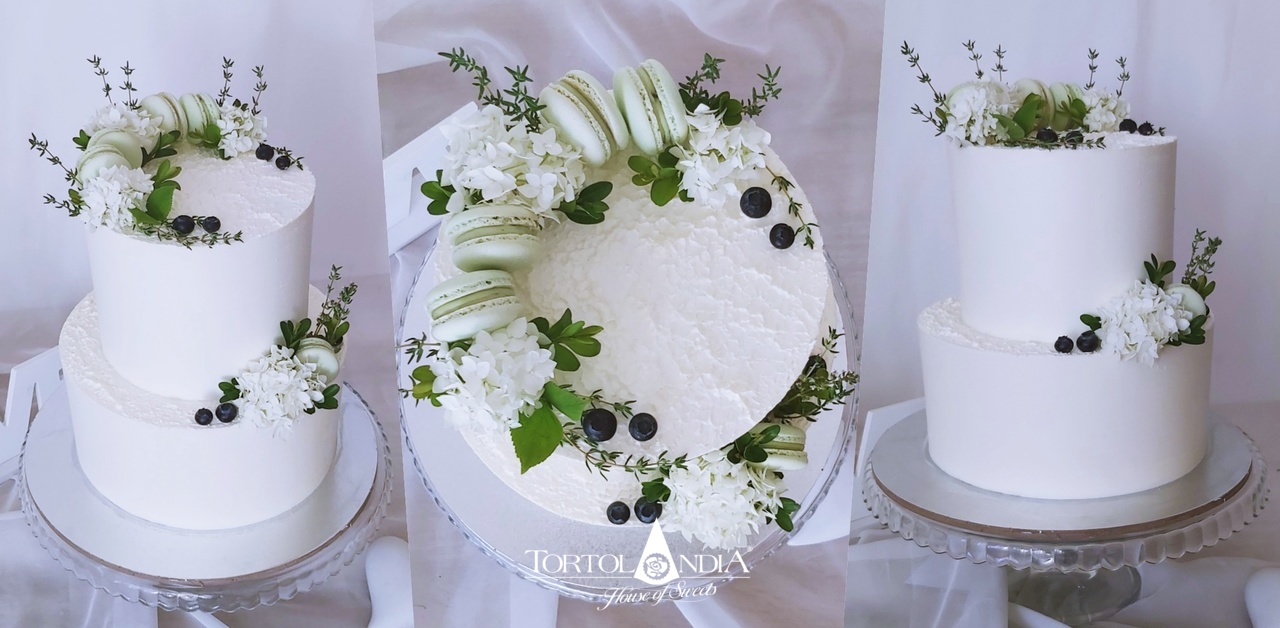 00a1217a1046a1213a00