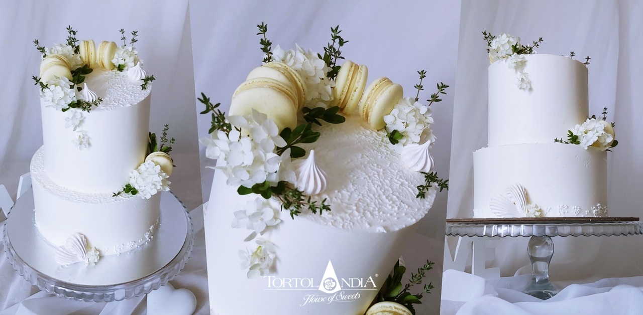 00a2214a2231a1903a00