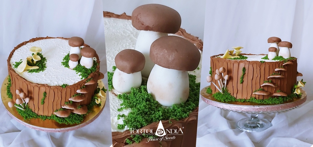 00a4956a5300a4940a00