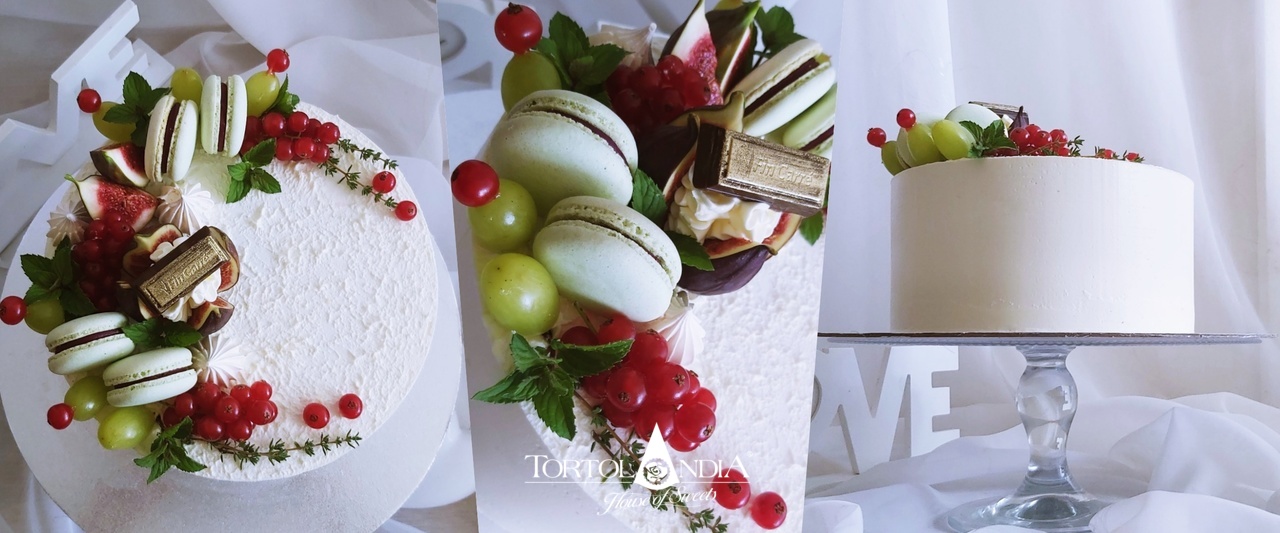 00a2658a2617a2505a00