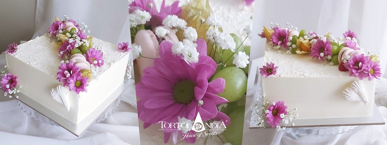 00a1849a00a00a00a1342a00a0